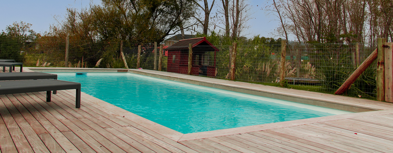 Piscina De Líneas Rectas O Curvas: ¿Cuál Es La Mejor Forma Para Vos?